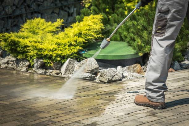 Best Roof Cleaning and Mildew Removal in Marion, IA